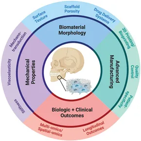 Frontiers | The future of cell-instructive biomaterials for