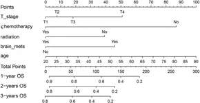 Frontiers | Nomogram model of survival prediction for