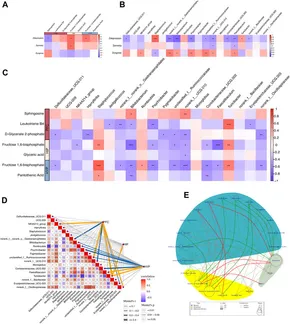その他 sample 7.4.5 Single Sample Hypothesis Test for a Proportion - Dawn