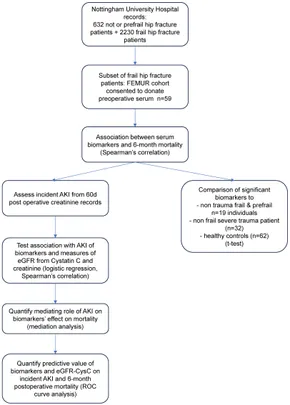 Frontiers | Preoperative inflammatory biomarkers reveal