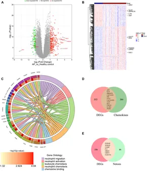 Frontiers | Identification and analysis of chemokine-related Frontiers | Identification and analysis of chemokine-related