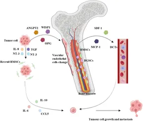 【未開封】THE MARROW OF A BONE 初回生産限定版 Amazon.co.jp: THE MARROW OF A BONE(初回生産限定盤): ミュージック