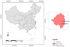 Frontiers | Variations in plant–microbe–soil C:N:P