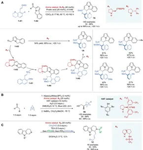 Asymmetric Oxidation Reactions (The ^APractical Approach in