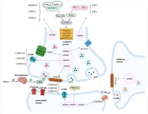 Frontiers | Pathogenic genes implicated in sleep-related