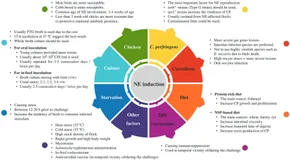 Frontiers | A comprehensive review of experimental models