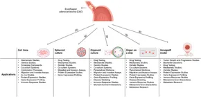 fmolb-11-1440670-g001.jpg