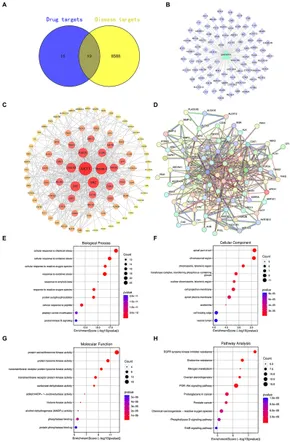 Frontiers | Mechanism of action of quercetin in regulating