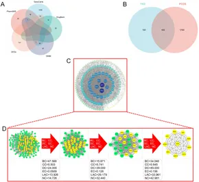 Frontiers | Exploring the therapeutic mechanisms of Yikang