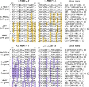 Frontiers | Simultaneous detection and differentiation of