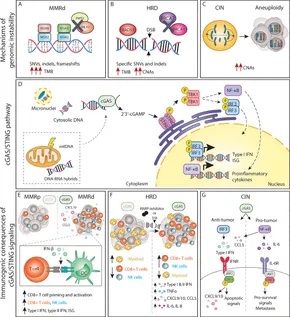 In Situ Versus Isolated Zinc Catalysts in the Selective