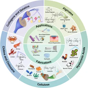 HU様オーダー Metal-Supported Biochar Catalysts for Sustainable