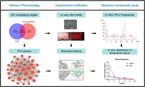 品質は非常に良い Frontiers validation experimental pharmacology, Network | その他