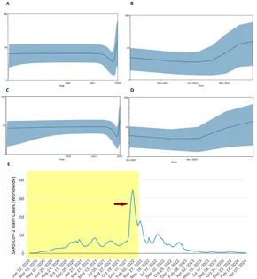 【2025福袋】 Frontiers dynamics evolutionary and epidemiology Genomic | ブーツ