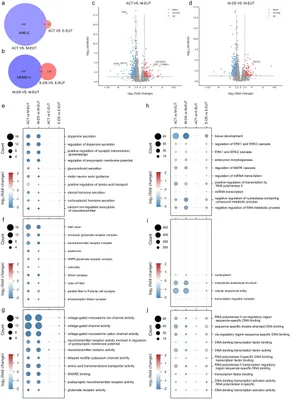 Frontiers | Multiple time points of transcriptome analysis