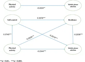 Frontiers | Effects of physical activity on mobile phone