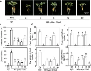 Frontiers | Positive interaction between melatonin and