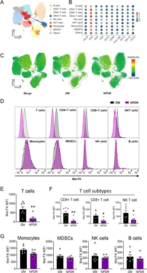 高感度ショップで2023年売れたブランド Downregulation | Frontiers of cells T circulating in MerTK 香水(ユニセックス)
