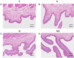 専用　BとC Rear Rotors Transit Auto Rear Disc Brake Rotors And Semi