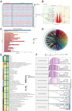 Frontiers | Unveiling the NEFH+ malignant cell subtype