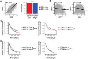 DISHのCD6点とおまけ DISHのCD6点とおまけ 6 Pin CDI - High Performance CDI - Scooter