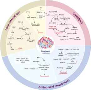 サイトウ5点 TREMEC TKX 5-SPEED TCET17722 GM 26-SPLINE .81 5TH GEAR - The