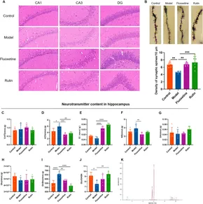 大特価 イラスト Frontiers | Therapeutic potential of rutin in premenstrual キッチン家電
