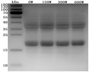Frontiers | High internal phase Pickering emulsion by