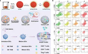 Frontiers | Exploring the application of metal-based
