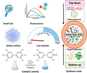 「高評価！」注目のレビュ Frontiers | metal platform: frontier new a as Nanomaterials その他