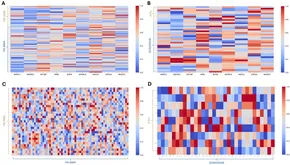 Frontiers | MD-Syn: synergistic drug combination prediction