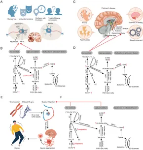 Frontiers | Natural flavonoids from herbs and nutraceuticals