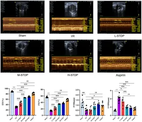 m Meta-analysis of BRAF mutation as a predictive biomarker of