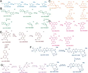 Frontiers | Discrimination of poisonous and medicinal plants