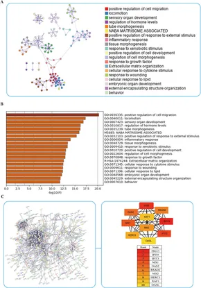 bubble様へ②⑤ line bubble 2 level 1583 - YouTube