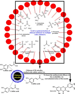 N Frontiers | Chitosan and its derivatives-based