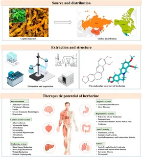 Frontiers | Pharmacological properties and therapeutic