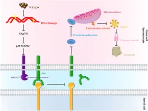 Paypoqdagi yosh cutie bilan jinsiy aloqa video Tungi klublarda yalangoch qizlar