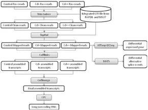 ソフトウェア Screenshot_0_LEGO-Digital-