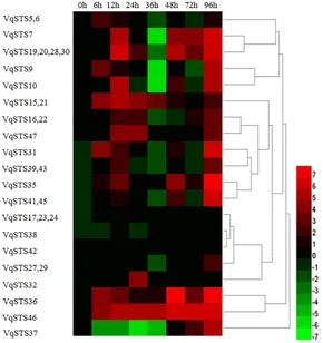12345 専用 Frontiers | Expression of the Grape VqSTS21 Gene in Arabidopsis