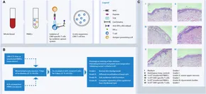 Frontiers | Recent Developments in Cellular Immunotherapy