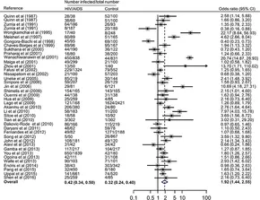 Frontiers | Toxoplasma gondii Infection in Immunocompromised