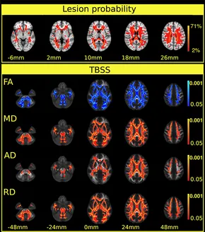 公式写真Ｄ ew4c00438_0008.gif