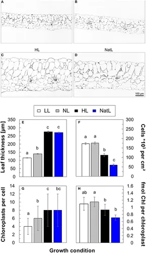 Frontiers | Plant Growth under Natural Light Conditions Frontiers | Plant Growth under Natural Light Conditions