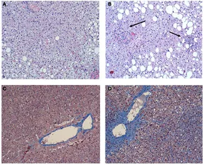 ボーイズラブ 15巻セット ボーイズラブ 15巻セット ボーイズラブ 15巻セット 楽天市場】Bl