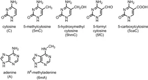 fgene-08-00100-g001.jpg