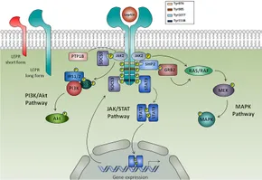 Constructing VO/V2O3 interface to enhance hydrogen storage