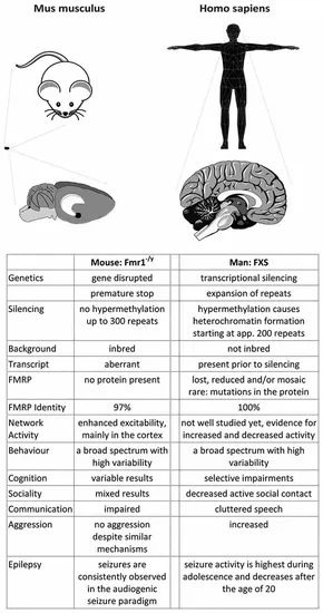 fnmol-11-00041-g003.jpg