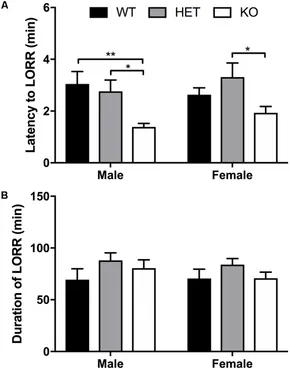 【送料無料/即納】  Characterization Behavioral | Frontiers of 1 β-Arrestin ジャケット・アウター