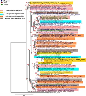 fmicb-09-01767-g001.jpg
